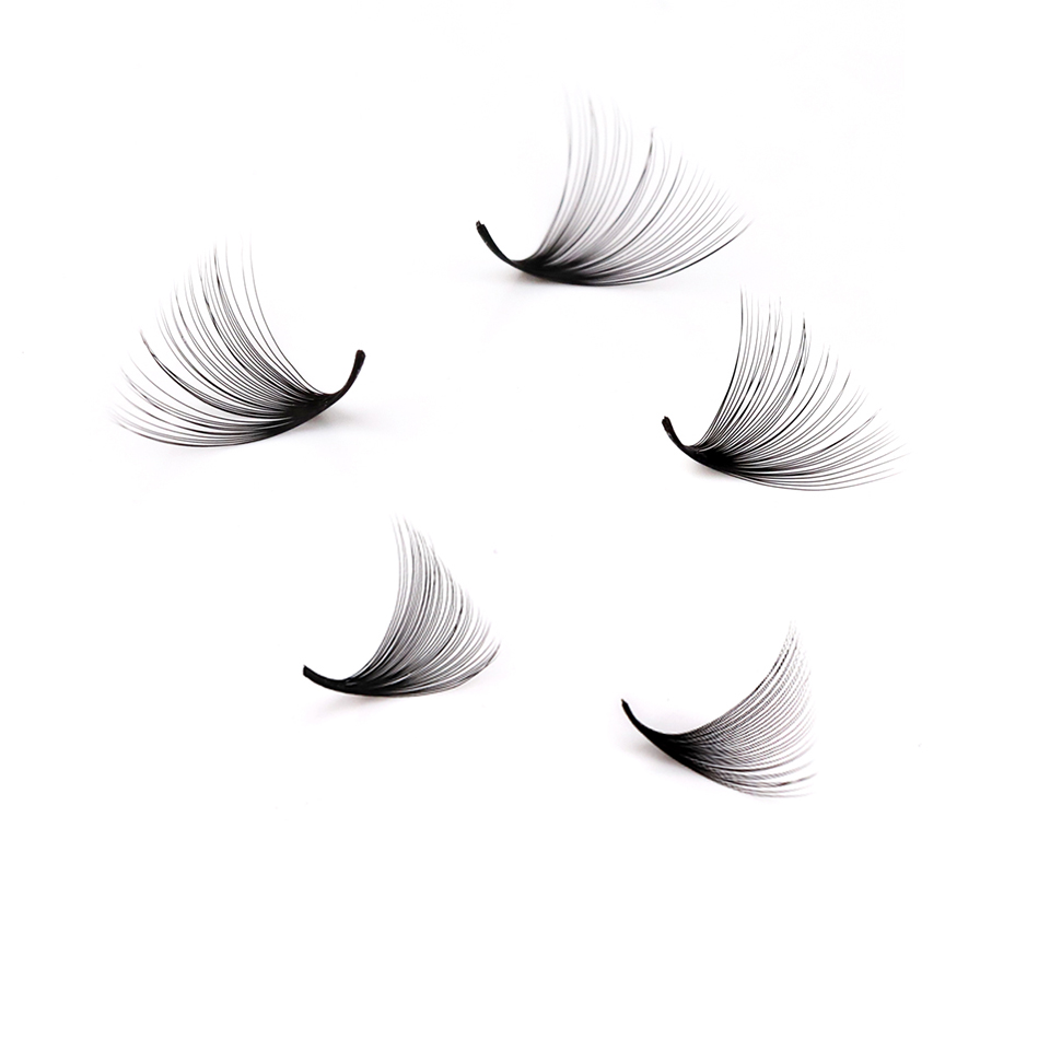 Lashprofessor XL Tray 3D 4D 5D - Eyelash Extension Russian recension och pris